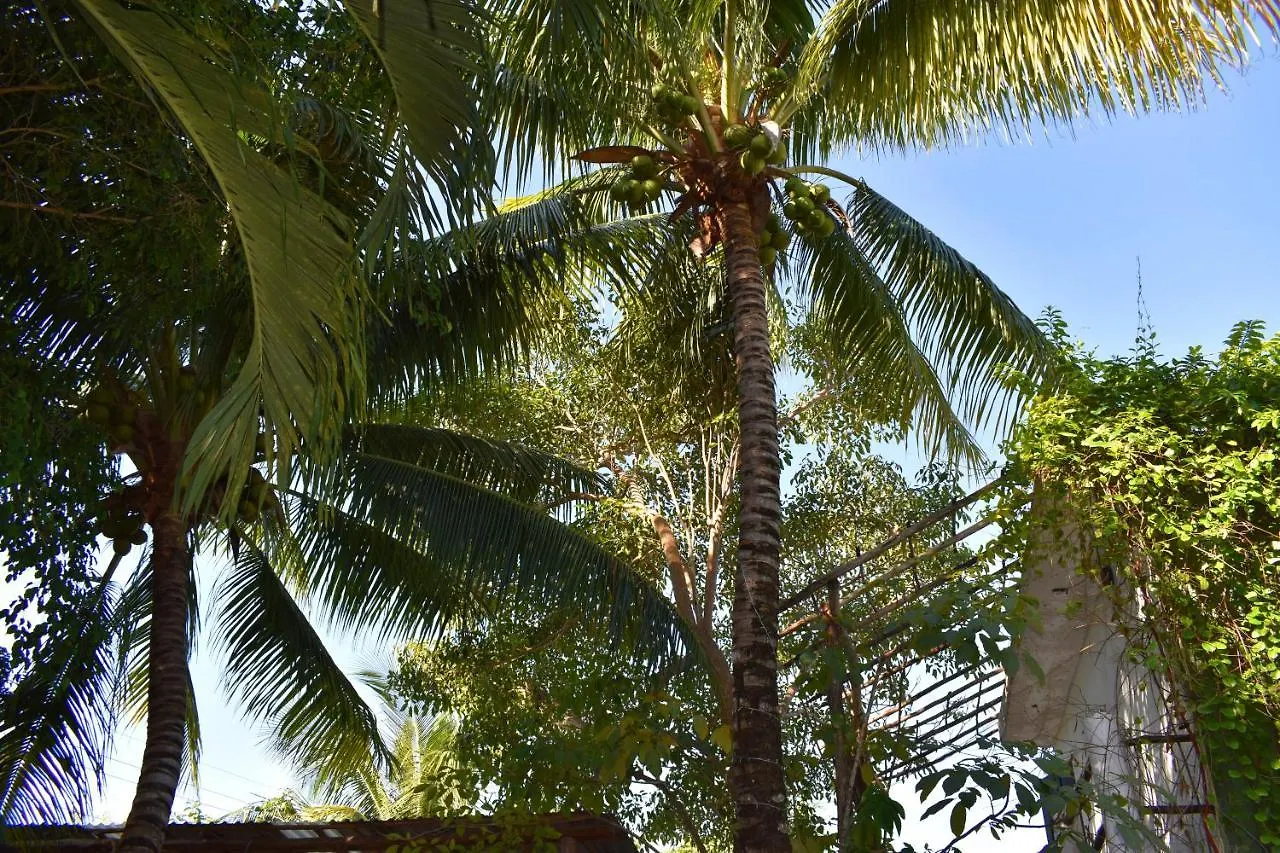 Bed & Breakfast Lobo Inn Tulum