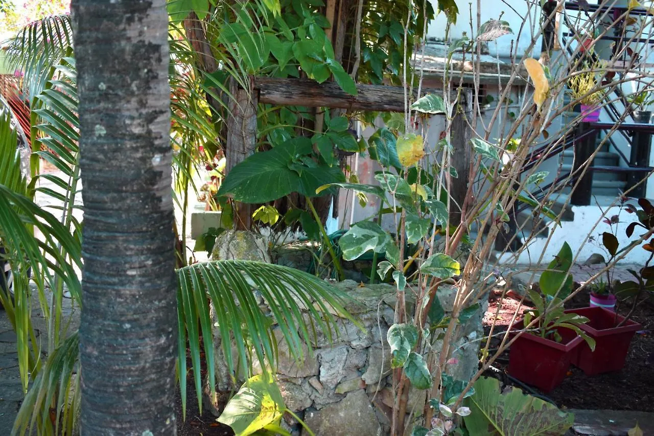Lobo Inn Tulum 2*,