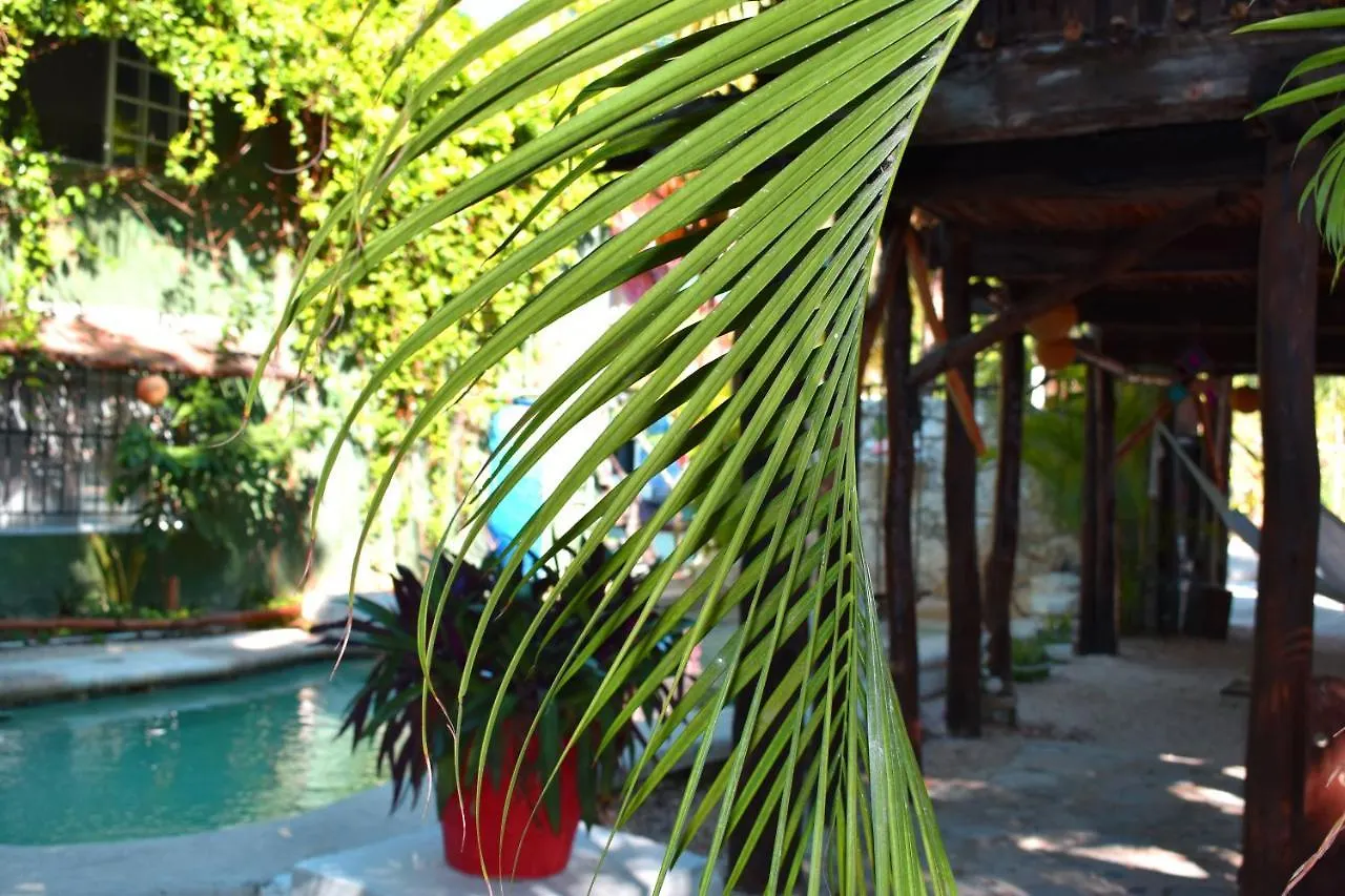 Lobo Inn Tulum 2*,  Meksyk