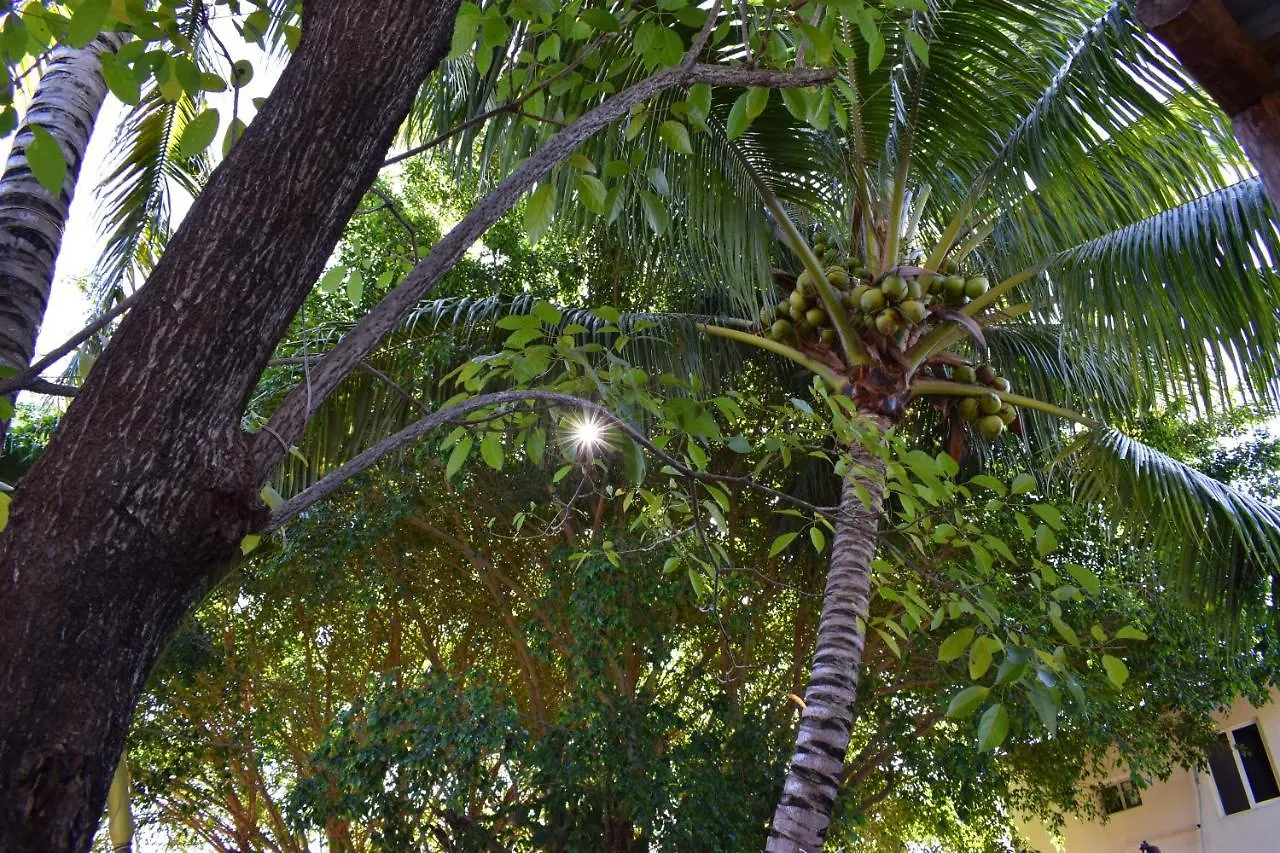 Nocleg ze śniadaniem Lobo Inn Tulum
