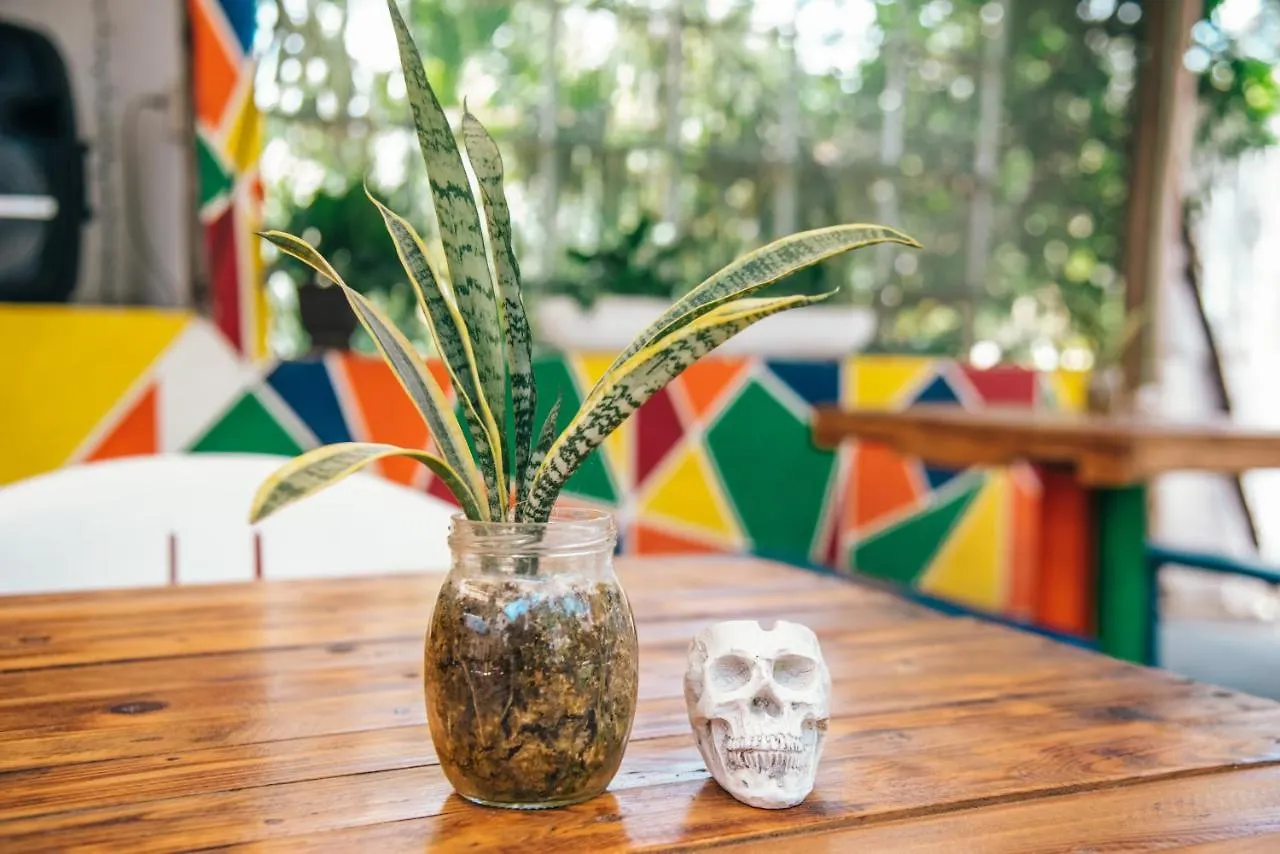 Lobo Inn Tulum Nocleg ze śniadaniem