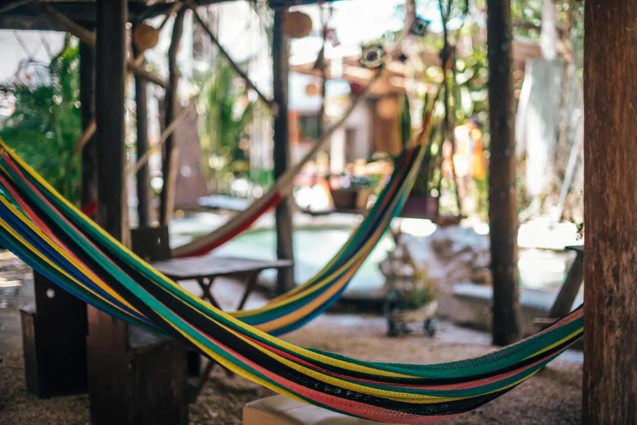 Nocleg ze śniadaniem Lobo Inn Tulum