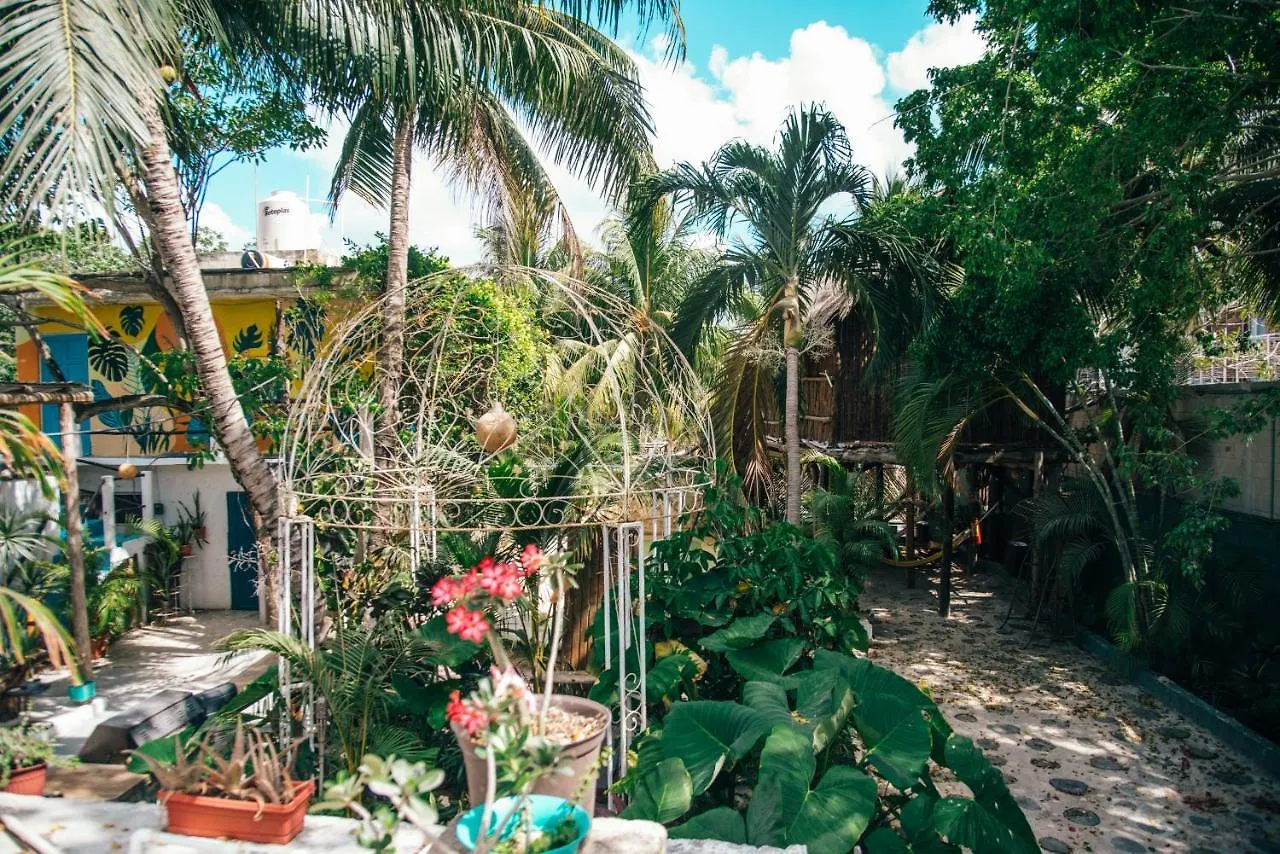 Lobo Inn Tulum